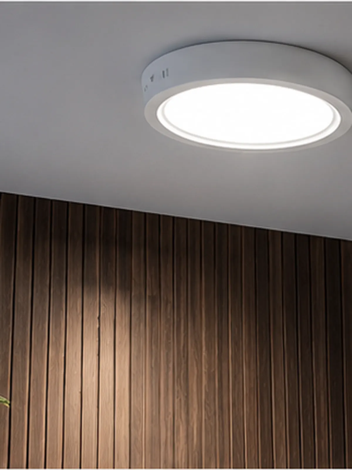 Downlight Roof Backlit 24W 6000K - vista 2
